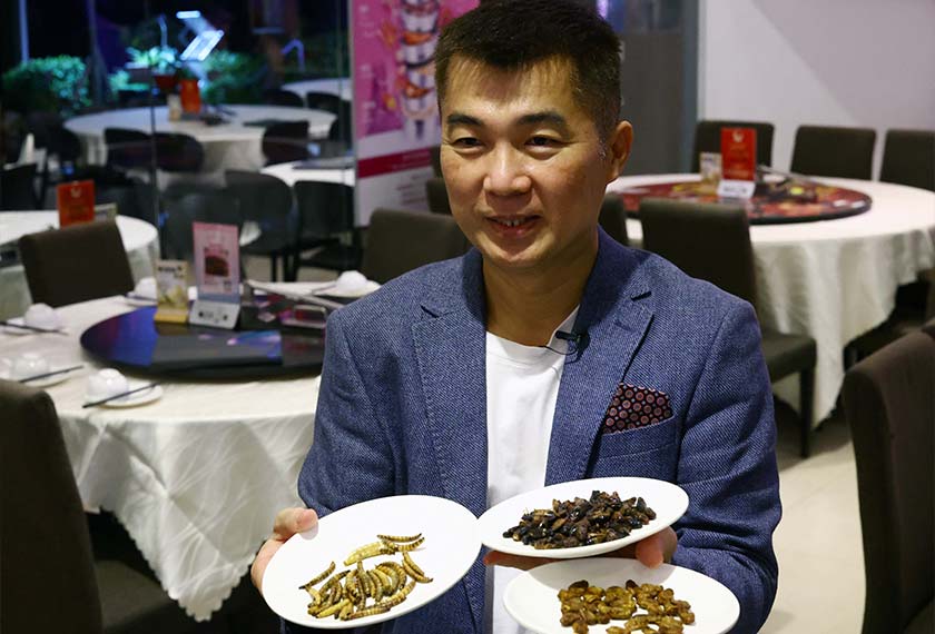 Restaurant owner Francis Ng shows the different types of worm and cricket ingredients that he will use for insect-based dishes at the House of Seafood restaurant in Singapore. - REUTERS