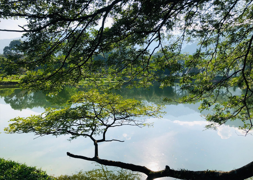 Keadaan terkini menunjukkan paras air di Taman Tasik Taiping yang mulai normal susulan hujan berterusan pada sebelah petang dan malam. - Astro AWANI