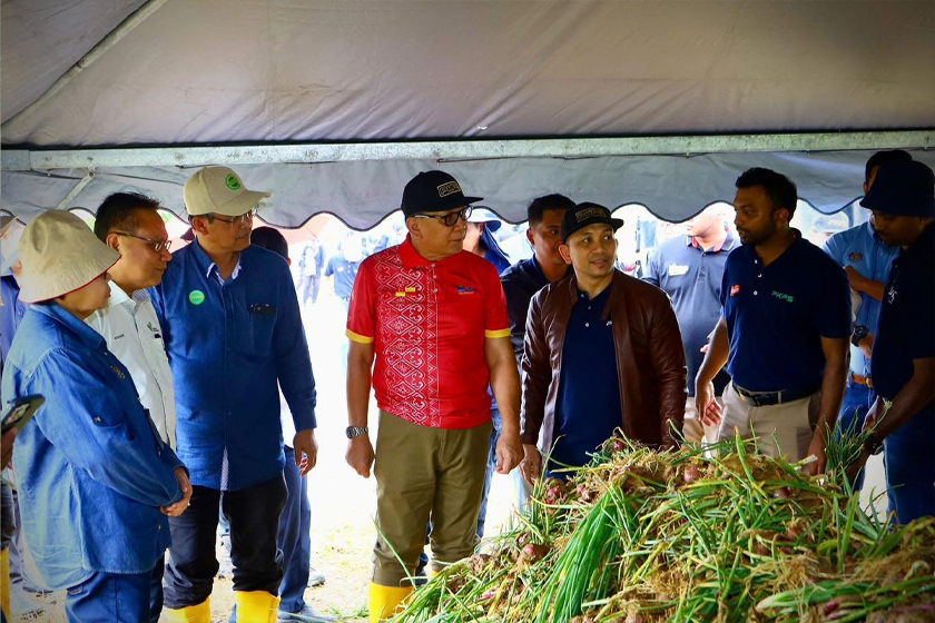 Projek Bawang Rose Ehsan mampu menghasilkan empat tan bagi setiap ekar iaitu paling tinggi pernah dicatatkan berbanding negeri lain. - Gambar PKPS