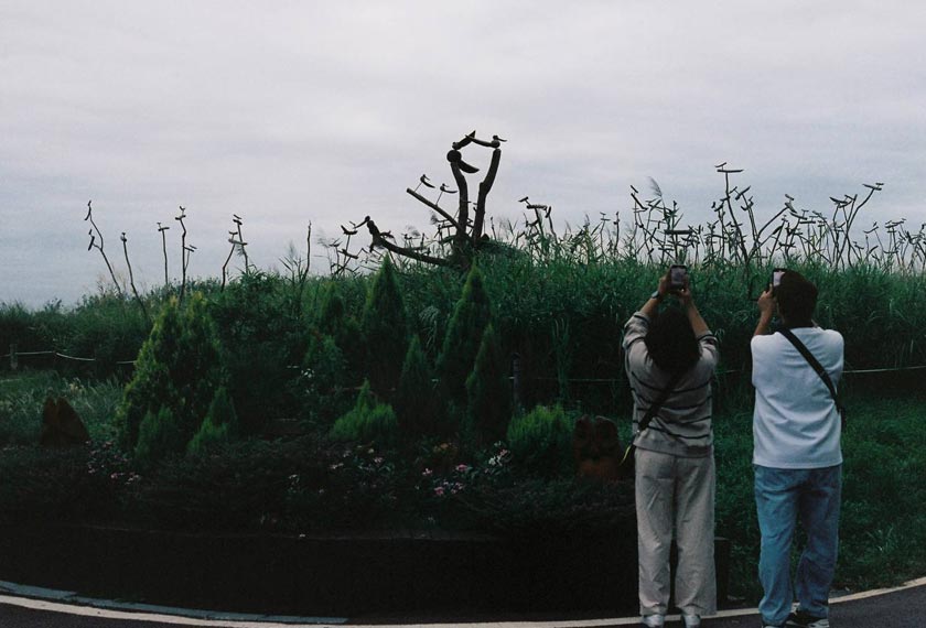 Pemandangan yang anda boleh nikmati ketika mengunjungi Haneol Park. Foto: Amiruddin Hardy