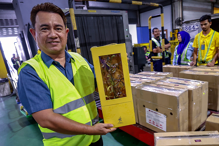 Mohamad Nizam menunjukkan orkid di dalam kotak hadiah premium siap sedia untuk dieksport di Mas Kargo KLIA Sepang, 17 Feb 2024. --fotoBERNAMA