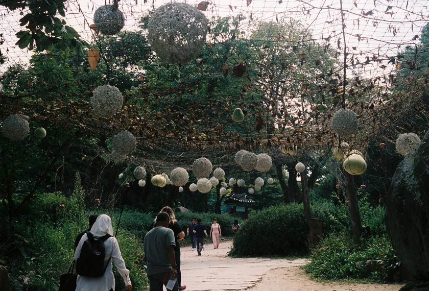 Nami Island merupakan salah satu destinasi wajib apabila anda datang ke Korea Selatan. Foto: Amiruddin Hardy