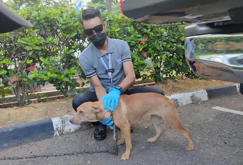 Tertuduh didakwa melakukan sesuatu tindakan yang menyebabkan kesakitan tidak wajar iaitu menyeret seekor anjing betina jenis Mongrel di permukaan lantai jalan menggunakan seutas rantai. - Foto Astro AWANI