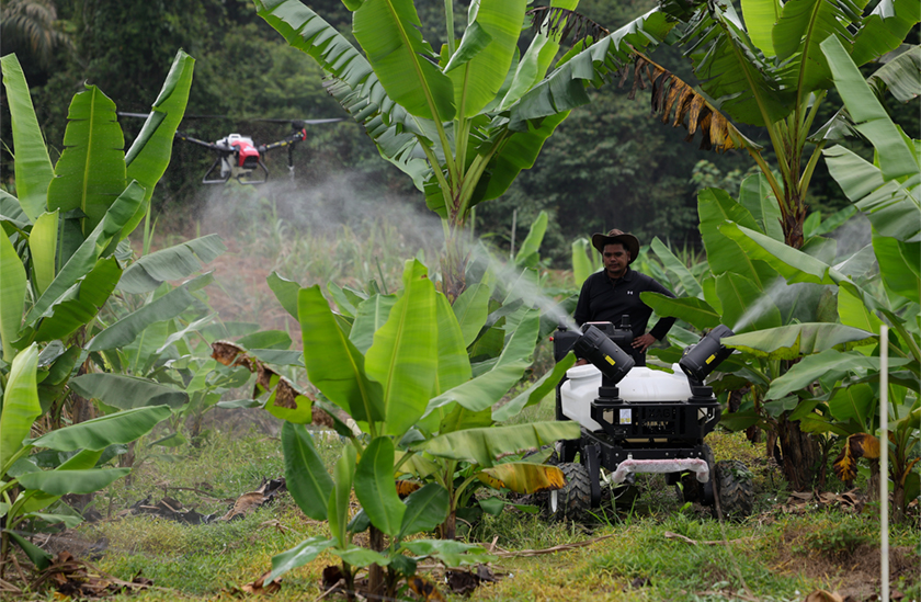 Ladang seluas 15 ekar milik syarikat Temin Legacy Sdn Bhd mampu mengeluarkan hasil tanaman pertanian dan makanan sehingga 200 tan setahun dengan potensi pulangan minimum RM600,000. --fotoBERNAMA