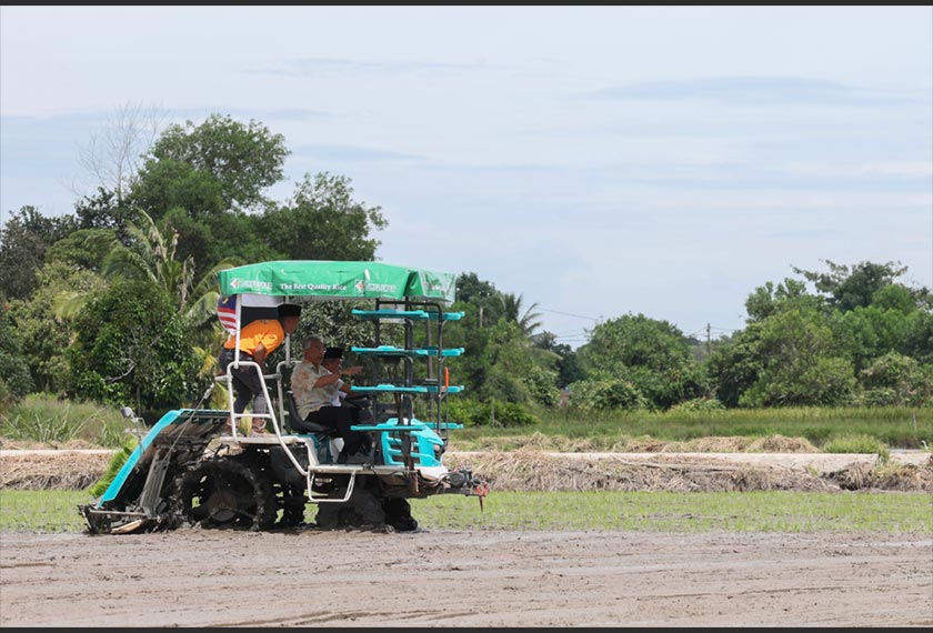 Yang di=Pertuan Agong berkenan mencemar duli mengendali jentera mesin menanam padi selepas merasmikan Program Smart Sawah Berskala Besar (SMART SBB) Ala Sekinchan di Kumpulan Pengguna Air Permatang Durian, Skim Merchong, hari ini. - Foto Bernama
