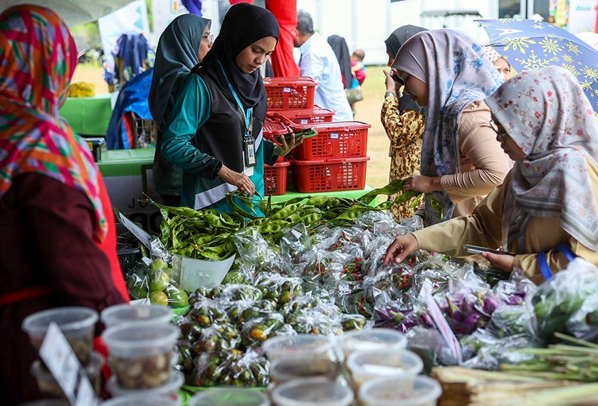 Orang ramai mengambil peluang membeli sayur-sayuran yang dijual lebih murah dari harga pasaran di khemah Jualan Agro MADANI sempena Program MADANI Rakyat 2024 Zon Timur