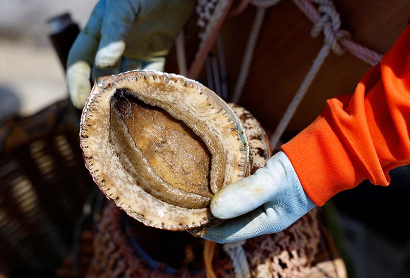 Sanae Kiso, 77-year-old