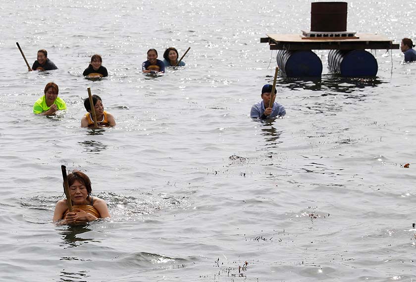 Volunteers practice swimming ahead of Shirahama Ama matsuri in Minamiboso, Chiba Prefecture, Japan July 20, 2024. - REUTERS/Kim Kyung-Hoon