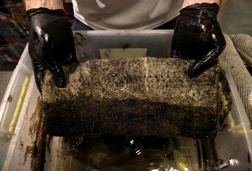 Mattia Cerenini, general manager of Matter of Trust Chile, shows motor oil removed from water using a human hair mat as part of 'Petropelo', a system that utilizes hair's natural absorbent qualities to clean waterways of oils, heavy metals, and even bacteria, in Santiago, Chile. - REUTERS