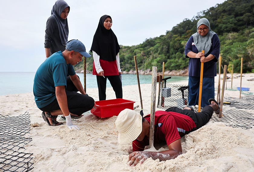 Volunteers relocate a turtle nest from a shore of the South China Sea to a safer place at Redang Island, Malaysia. - REUTERS/Hasnoor Hussain