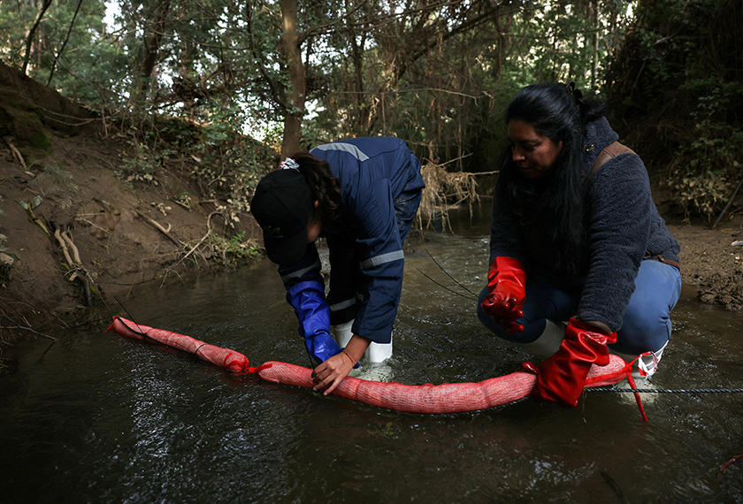 Members of Matter of Trust Chile prepare to place a tube-like device made from human hair as part of 'Petropelo', a system that utilizes hair's natural absorbent qualities to clean waterways of oils, heavy metals, and even bacteria, in Laguna Verde area, Chile. - REUTERS
