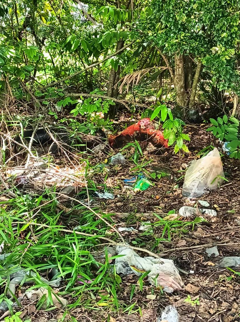 Pada penghujung 2020, terdapat 1,672 hotspot sampah haram di kawasan pentadbiran MBI. Mulai 2021, ia berjaya ditutup secara berperingkat. - Foto MBI