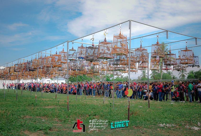 Pertandingan Burung Candik Antarabangsa menerima penyertaan sehingga lebih 700 ekor burung dari serata Malaysia, Thailand dan Singapura.