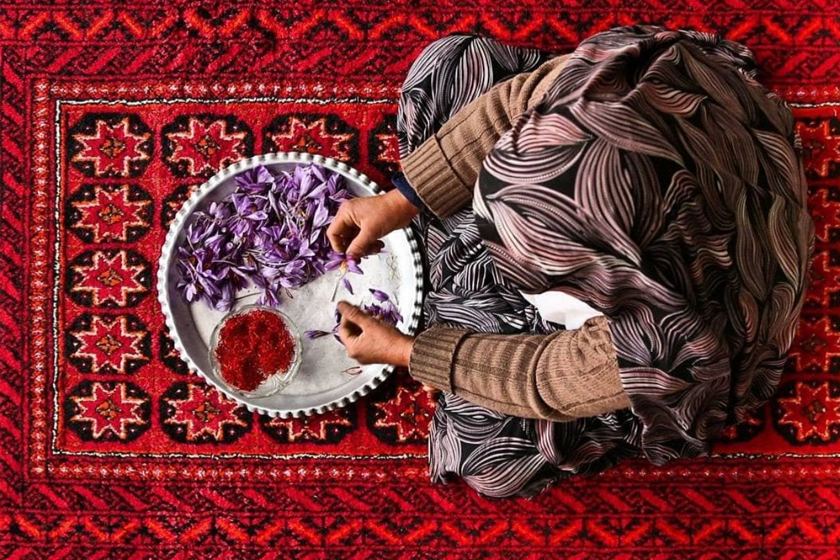 Safron merupakan antara herba yang termahal di dunia dan digunakan secara meluas sebagai bahan masakan di Timur Tengah dan Eropah. - Foto Astro AWANI