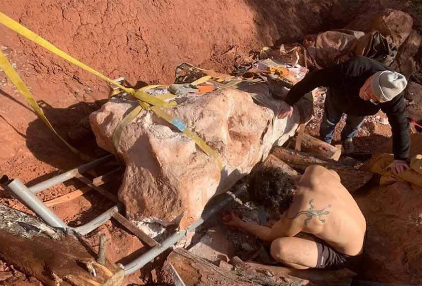 Fosil berkenaan kali pertama ditemui Boschetto di celah runtuhan tebing bukit yang runtuh. - Foto agensi