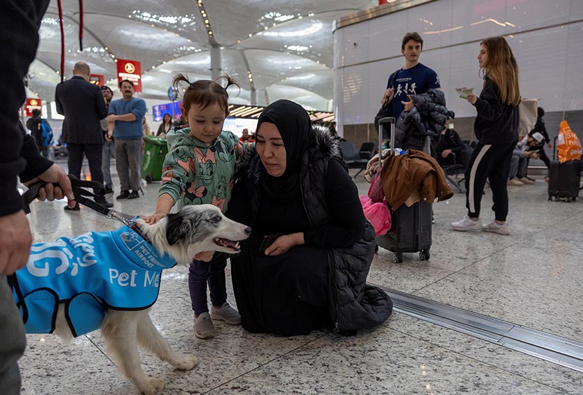 Passengers pet one of five therapy dogs as they roam Istanbul Airport, searching for stressed passengers who are looking to calm their nerves before they board their flight, in Istanbul, Turkey. - REUTERS
