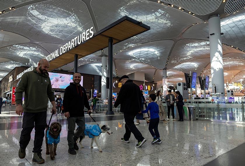 Therapy dogs roam Istanbul Airport, searching for stressed passengers who are looking to calm their nerves before they board their flight, in Istanbul, Turkey. - REUTERS