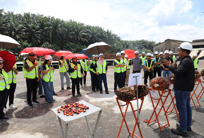 Petugas media diberi taklimat mengenai jenis buah sawit. -Gambar FGV