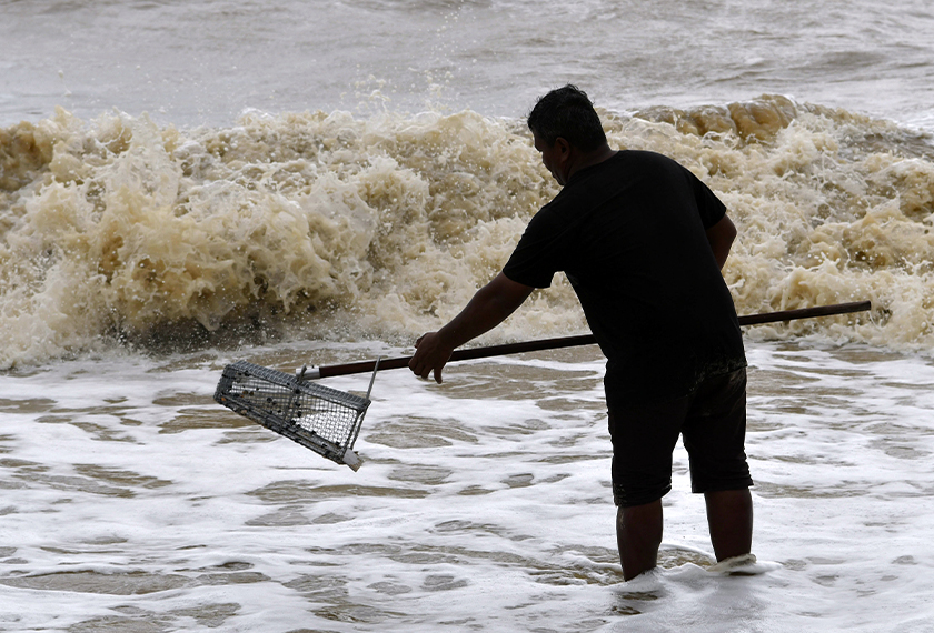 Wan Hafiza ketika sibuk mencari remis di pesisir pantai Pantai Pachakan. - Foto BERNAMA