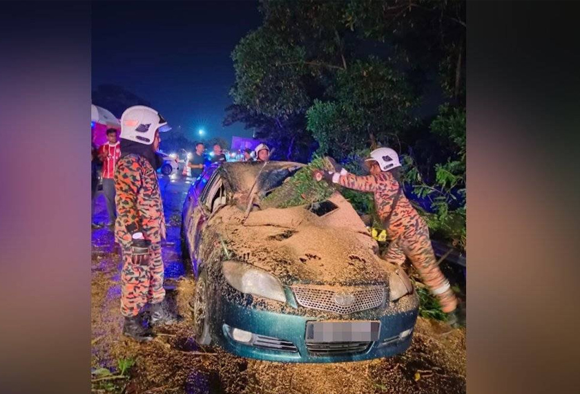 Pasukan bomba sedang mengalihkan batang pokok yang menghempap kereta mangsa. - Foto Sinar Harian