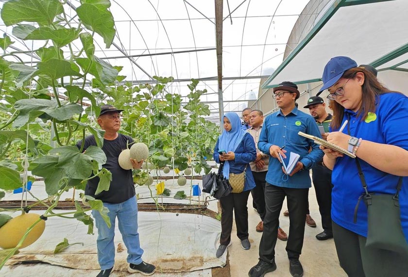 Wakil Mardi dan Fama diberikan penerangan oleh Aw serta dibawa melawat ladangnya. - Foto Astro AWANI
