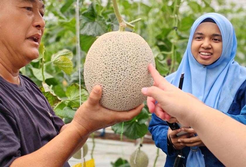 Aw menunjukkan kepada Zaiha Zeeti (tudung biru) jenis tembikai wangi premium yang ditanam secara organik di ladangnya. - Foto Astro AWANI