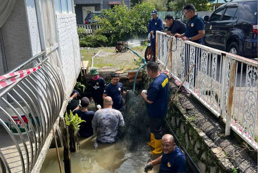 Ikan arapaima gergasi ditangkap di Masjid Tanah, Melaka pada Jumaat lalu. - Foto Sinar Harian
