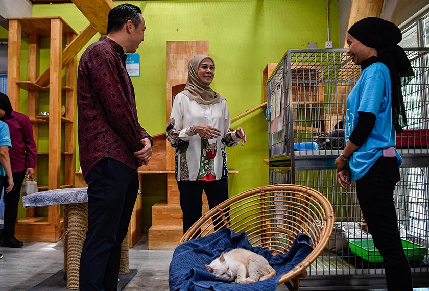 Tengku Permaisuri Selangor Tengku Permaisuri Norashikin (tengah) berkenan melawat ke rumah kucing pada Program Hari Haiwan Sedunia 2024 di Persatuan Pencegahan Kezaliman Terhadap Haiwan (SPCA), hari ini. - Foto Bernama