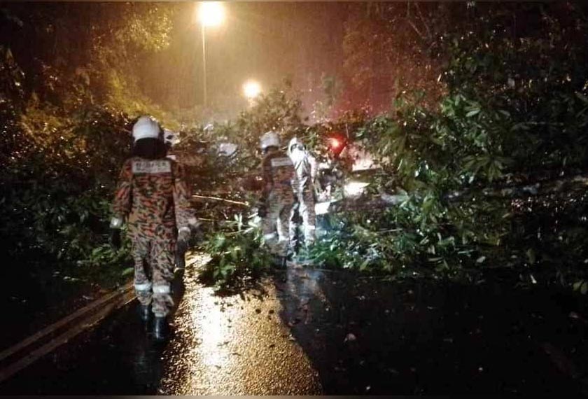 Pasukan bomba sedang melakukan kerja-kerja pembersihan mengalihkan pokok tumbang yang meragut nyawa mangsa. - JBPM