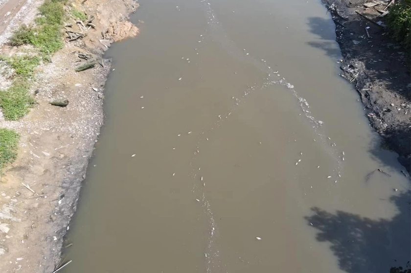 Foto Facebook Ah Soon