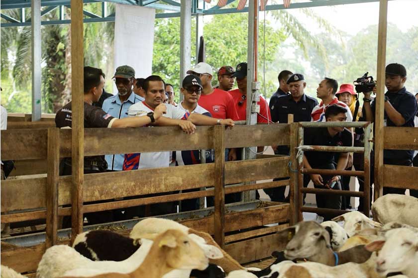 Abdullah Muhammad Tajuddin (kiri), Ir. Ts. Mohamad Fazli Mohamad Salleh (tengah) dan Datuk Mohd Fuad Tukirin (kanan) ketika meninjau kandang biri-biri di Karnival Bebiri Fest 2025. - Foto Bebiri World