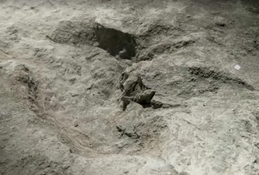 Four of the tracks were made by gigantic, long-necked, herbivorous dinosaurs called sauropods, most likely to be Cetiosaurus, an up to 18-metre-long cousin of the well-known Diplodocus. - Screengrab/BBC/via REUTERS