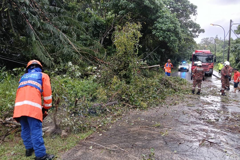 Petugas Pusat Kawalan Operasi Angkatan Pertahanan Awam Malaysia (APM)  giat membersihkan kawasan yang terjejas akibat pokok tumbang di sekitar Sandakan - Foto APM Sandakan
