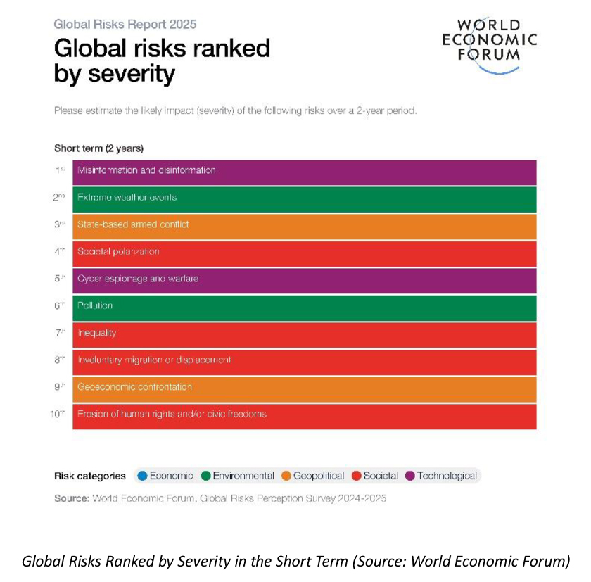 Source: World Economic Forum Global Risks Report 2025