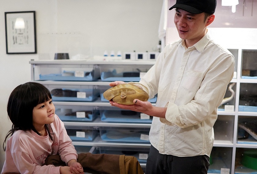 Luo Chih-yu, 42, the owner of Pythonism, a pet store, holds a snake while a customer looks on, ahead of the upcoming Lunar New Year, which will usher in the Year of the Snake, in Taipei, Taiwan. - REUTERS