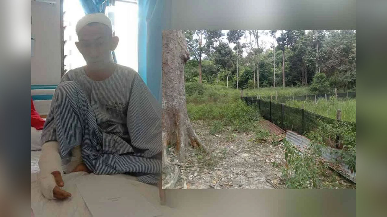 Tulap Lelaki cedera diserang haiwan liar dipercayai kucing tulap | Awani