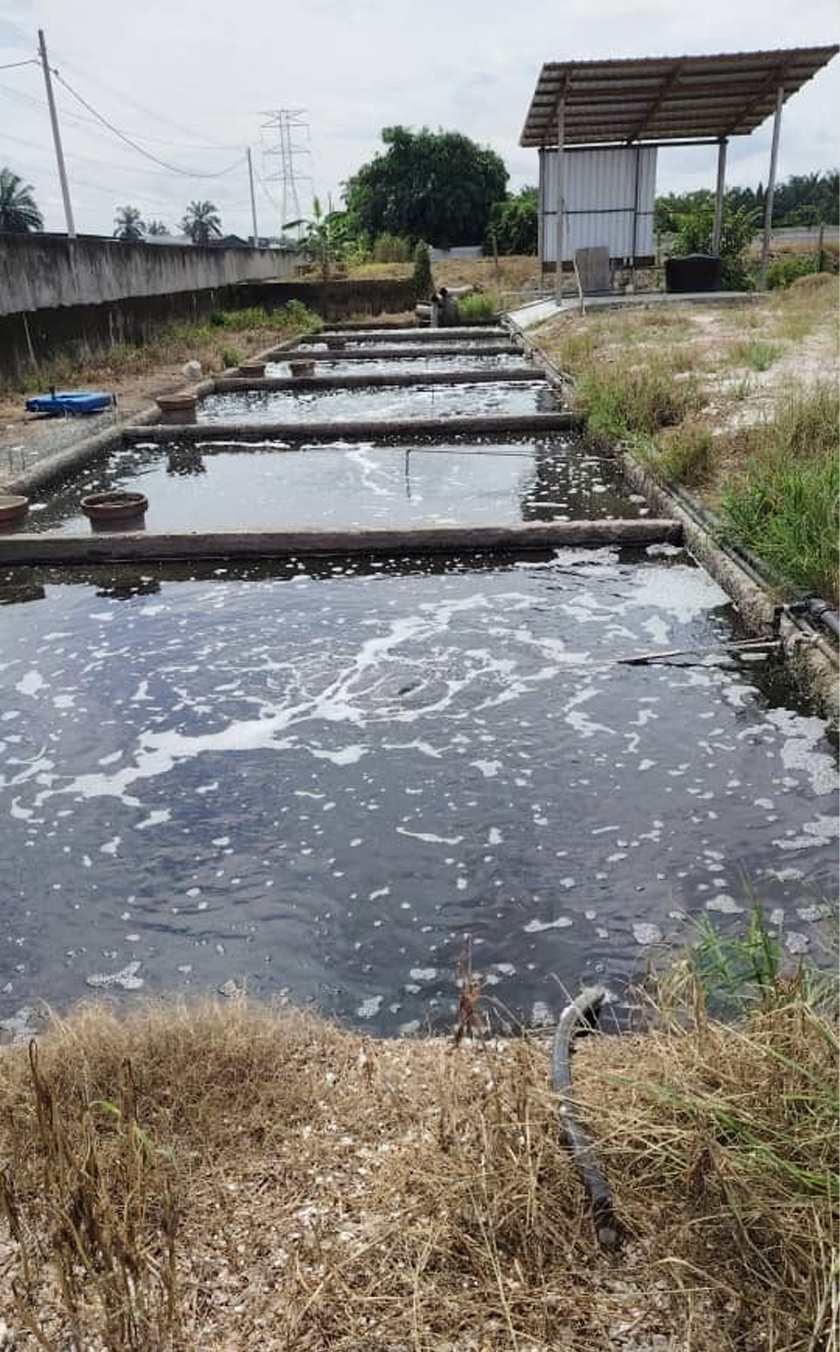 Wastewater treatment plant at Kampung Selamat - Tang/FLFAM