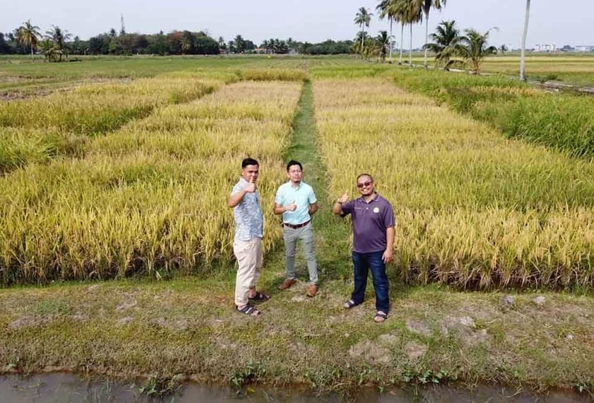 Antara benih yang dihantar termasuk varieti tradisional seperti padi, terung, dan kacang panjang.