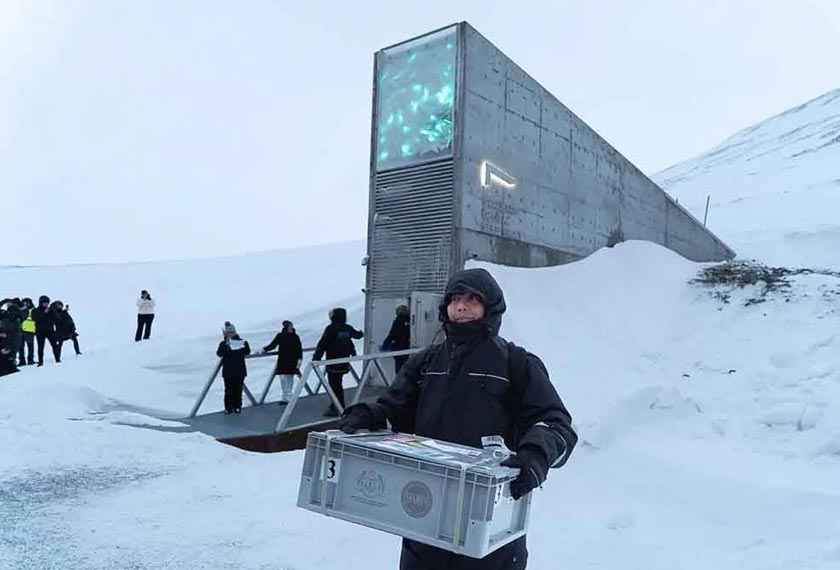 Struktur kebal ni terletak dalam keadaan tanah beku kekal (permafrost) dengan suhu semula jadi kurang daripada 18 darjah Celsius. - Foto TikTok MARDI