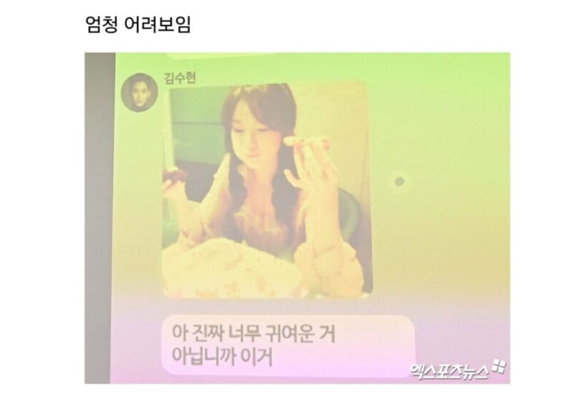 Satu tangkap layar yang dipercayai mesej daripada Kim Soo Hyun kepada mendiang Kim Sae Ron.