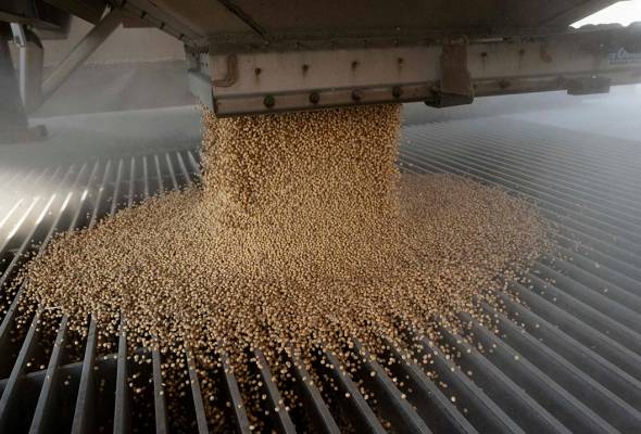 China’s weak soybean demand dims prospects for US cargoes after tariff snub  international.astroawani.com