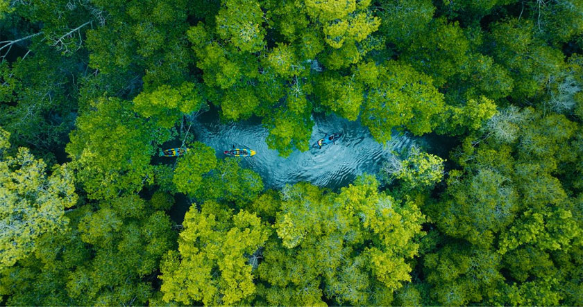 Kilim kayak. - Foto LADA