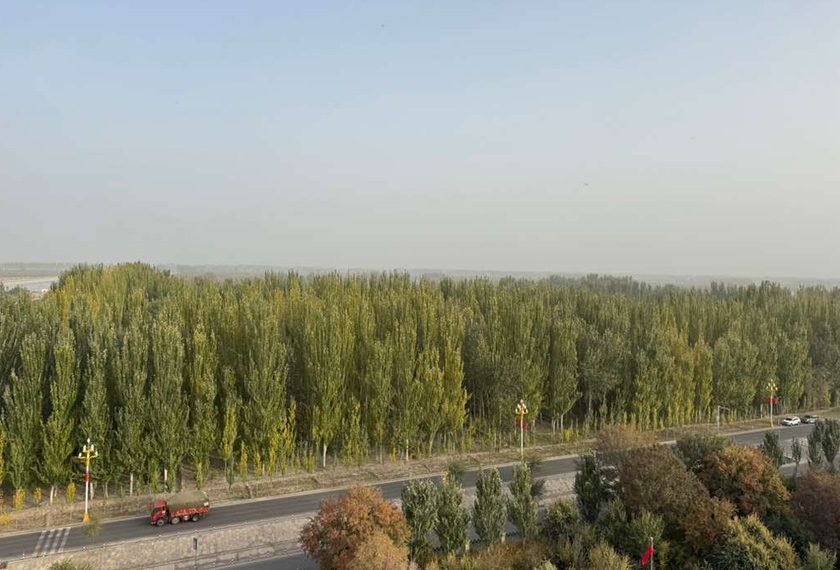 Gambar terkini kawasan Kekeya yang kelihatan menghijau setelah ditanam pokok oleh tiga generasi.