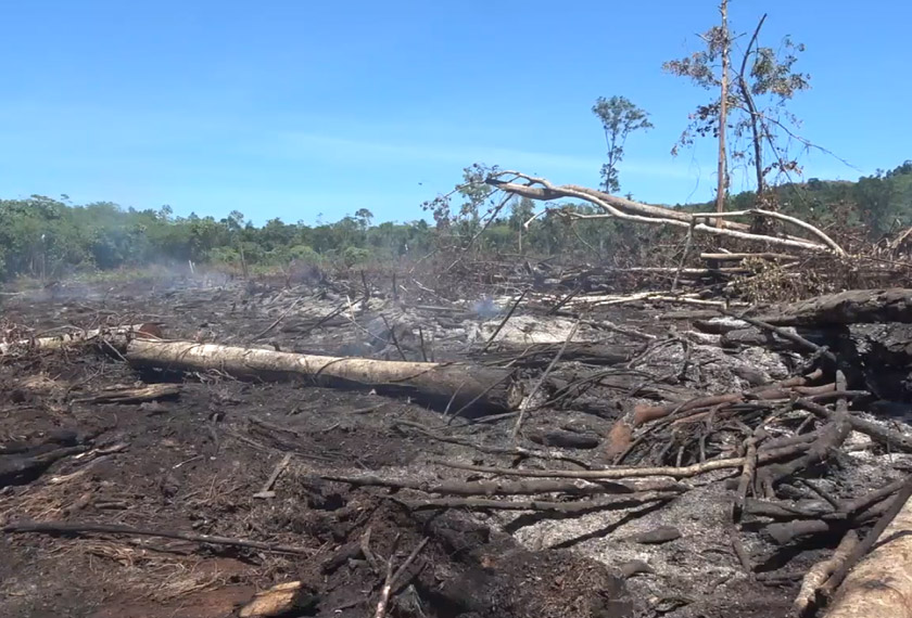 Lapisan gambut yang kaya dengan bahan organik mudah terbakar membolehkan bara api tersembunyi terus membara walaupun api di permukaan kelihatan telah dipadamkan. - Gambar fail/Bernama