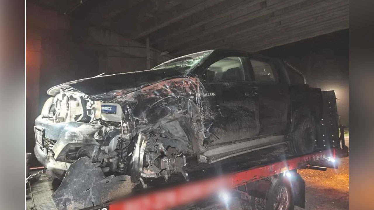 Chegubard kemalangan elak haiwan melintas