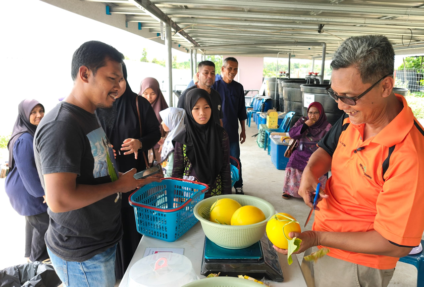 Peminat buah 3M, Ana Sarah Azmanizam teruja memetik sebelum membayar buah berkenaan diLadang 3M di Kampung Gelong Gajah, Machang, Kelantan. - Gambar Astro AWANI