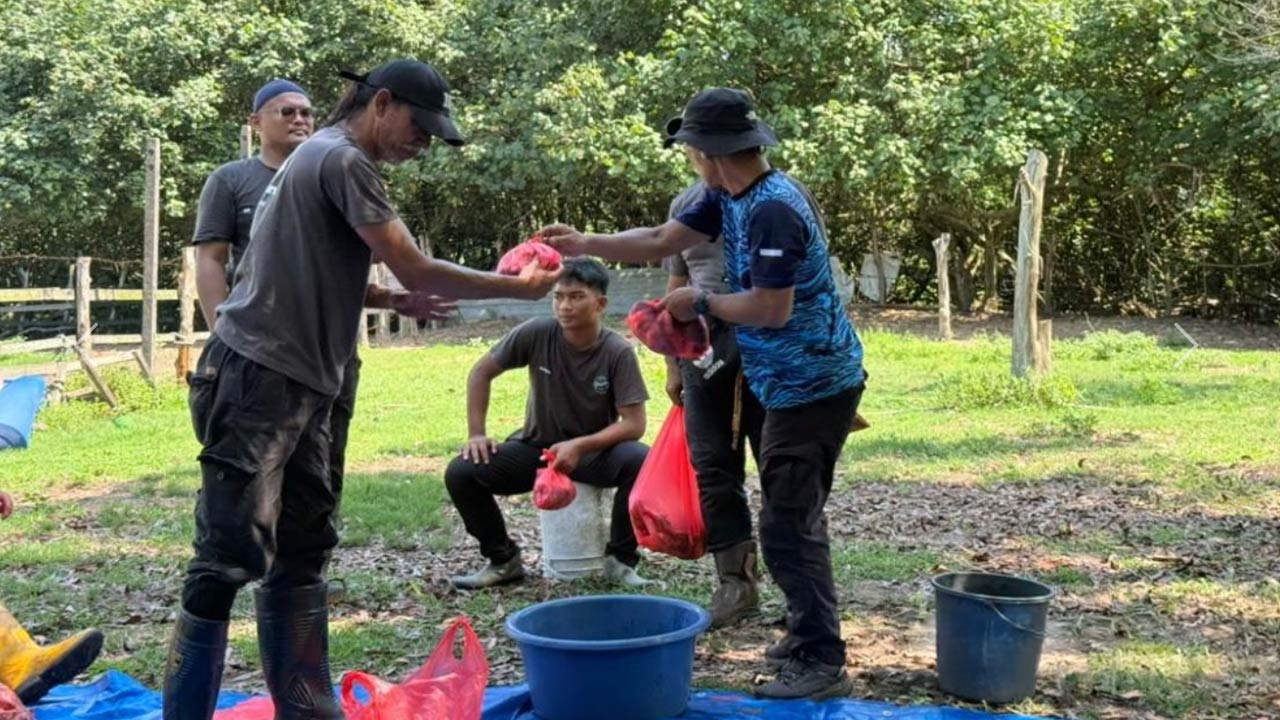 PM Anwar sumbang lembu kepada pengamal media Pahang, Kedah