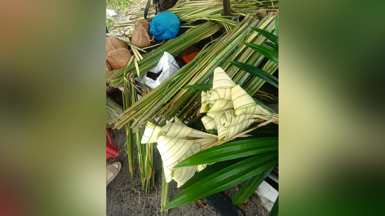 Permintaan daun palas sempena Aidiladha kekal tinggi di Pulau Pinang