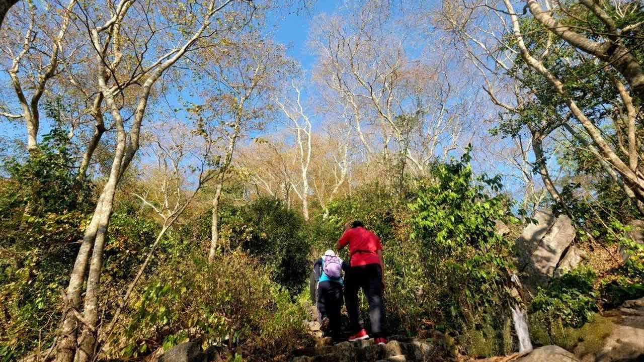 Malim gunung dedah kesilapan biasa pendaki ketika sesat di hutan
