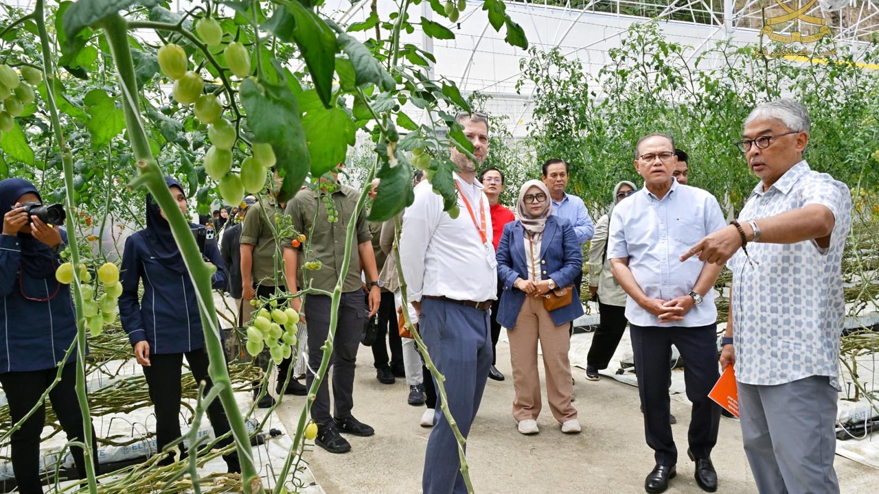 Pekebun rumah hijau digalakkan amal kaedah pertanian tanpa racun serangga, bahan kimia berbahaya
